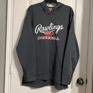 Rawlings Men's Branded Performance Fleece Hoodie